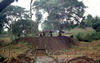 La Amazonía ecuatoriana esconde antiguas ciudades agrarias perdidas