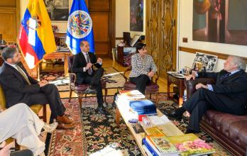 Canciller en reunión de la OEA