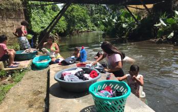 Las lavanderas de río también están en peligro por la polución