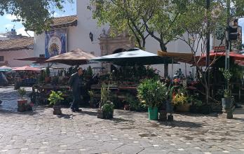 Cuenca-Mercado de flores