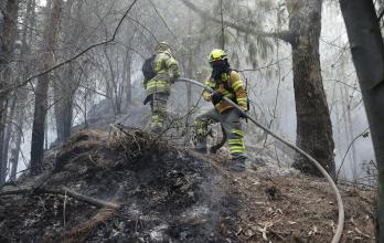 EE. UU., Chile, Perú y Canadá enviarán ayuda contra los incendios en Colombia