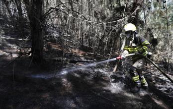 Los incendios forestales han arrasado 7.401 hectáreas en Colombia desde noviembre