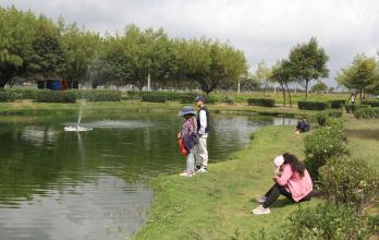 Parque Bicentenario laguna