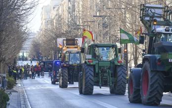 El campo español prepara una masiva tractorada en Madrid tras dos semanas de protesta