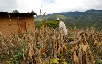 Colombia ingresa en la lista de países con inseguridad alimentaria aguda, según la ONU