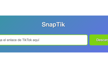 . La experiencia en el sitio web de SnapTik es bastante fluida