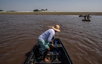 La Amazonía brasileña perdió el 5,4 % de su superficie de agua en 2023
