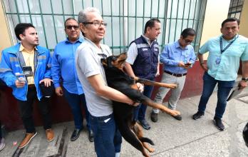 Animales maltratados Guayaquil