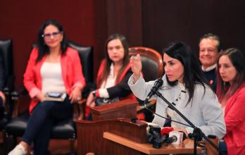 luisa gonzalez unidad izquierdas