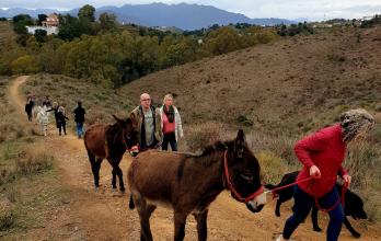 De Holanda a Málaga en bici: un viaje para ayudar a unos burros mediante microfinanciación