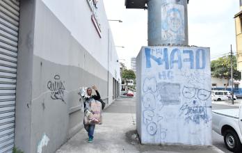 CALLES VANDALIZADAS (13343423)