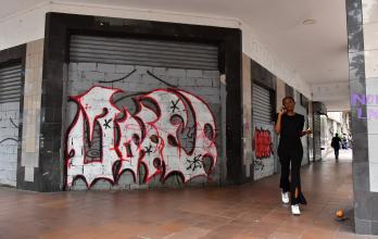CALLES VANDALIZADAS (13343414)