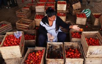 Mundo, Bolivia, Economía y población, los únicos perdedores