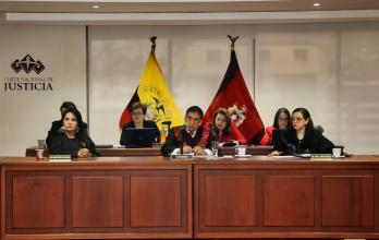 Corte Nacional de Justicia-Pleno de José Suing