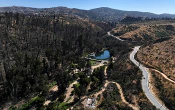 Incendio forestal Chile