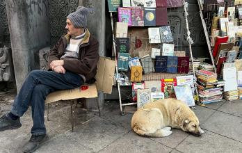 Mundo, Georgia, Tiflis, una urbe amable con sus perros callejeros