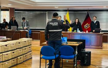 caso purga