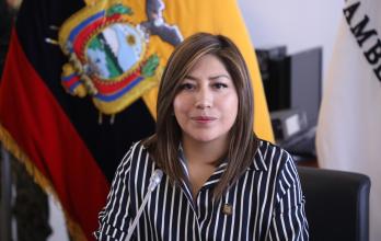 La legisladora Inés Alarcón (ADN) preside la Comisión de Seguridad de la Asamblea.