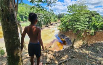 Niño mira al río