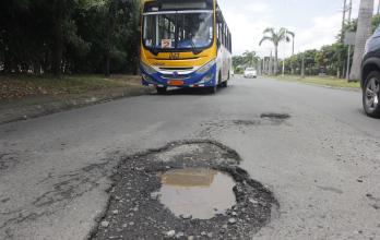 Baches La Aurora