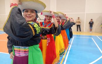 FESTIVAL DE DANZAS