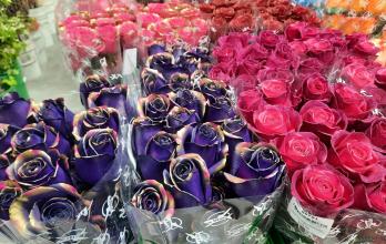 Flores Día de la Madre