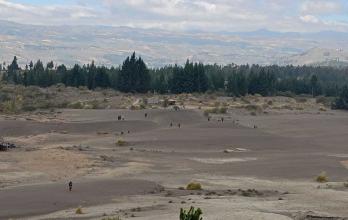 dunas