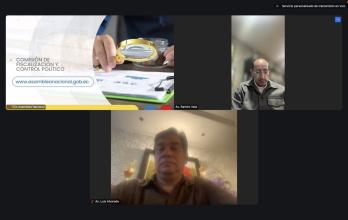 La Comisión de Fiscalización sesionó de forma virtual para tomar la decisión sobre el futuro del juicio político de Mario Godoy.