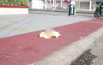 Manchas en la calzada junto a la concesionaria de autos cercana al restaurante.