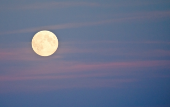 Este fenómeno astronómico podrá observarse en todo el país si el clima lo permite, ofreciendo una vista única de la luna llena de mayo.