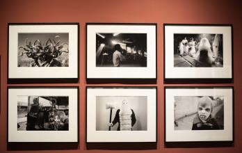 MUESTRA IMAGEN LATENT (14587027)