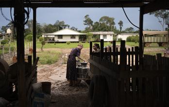 Mundo, Amazonía, Perú, Menonitas