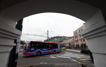 TROLES ELECTRICOS POR (14587781)
