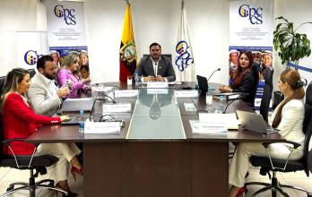 PLENO CONSEJO DE PARTICIPACION CPCCS