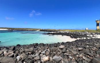 Islas Galápagos, isla Española