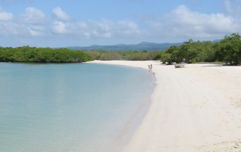 Tortuga Bay, Islas Galápagos