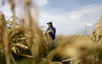 Mundo, Chile, Investigación científica, Cambio climático, Agricultura