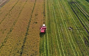 Mundo, Chile, Investigación científica, Cambio climático, Agricultura