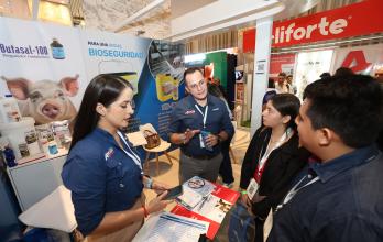 Congreso de porcicultura+producción+exportación