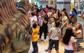 mall de sur