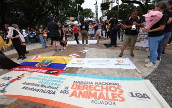 MARCHA POR LOS DERECHOS DE ANIMALES
