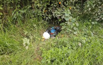 Basura loja