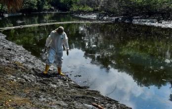 contaminación estero Salado