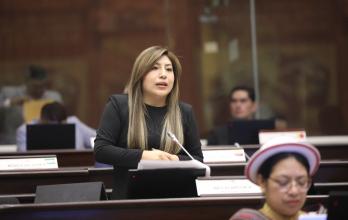 INES ALARCON ASAMBLEA DEBATE LEY INTELIGENCIA
