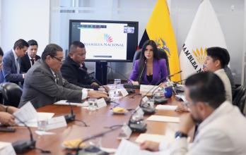 La Comisión de Participación está presidida por la legisladora oficialista Dian Jácome.