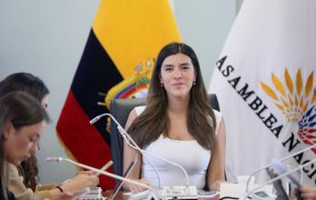 La oficialista Valentina Centeno se volvió el perfil clave en la Comisión de Desarrollo Económico para que los informes pasen con más de los votos mínimos necesarios.