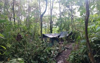 Fuerzas Armadas localizaron dos campamentos supuestamente utilizados por GDO