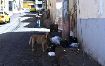 RECORRIDO POR QUITO B (14732576)