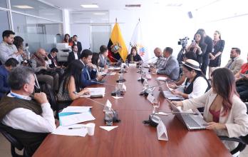 La Comisión de Seguridad, encabezada por la oficialista Inés Alarcón, tramitó la Ley de Inteligencia.