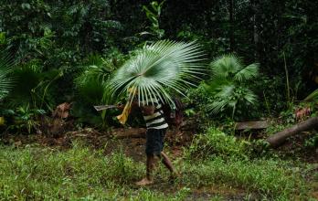 Anciano de la tribu indígena Hongana Manyawa